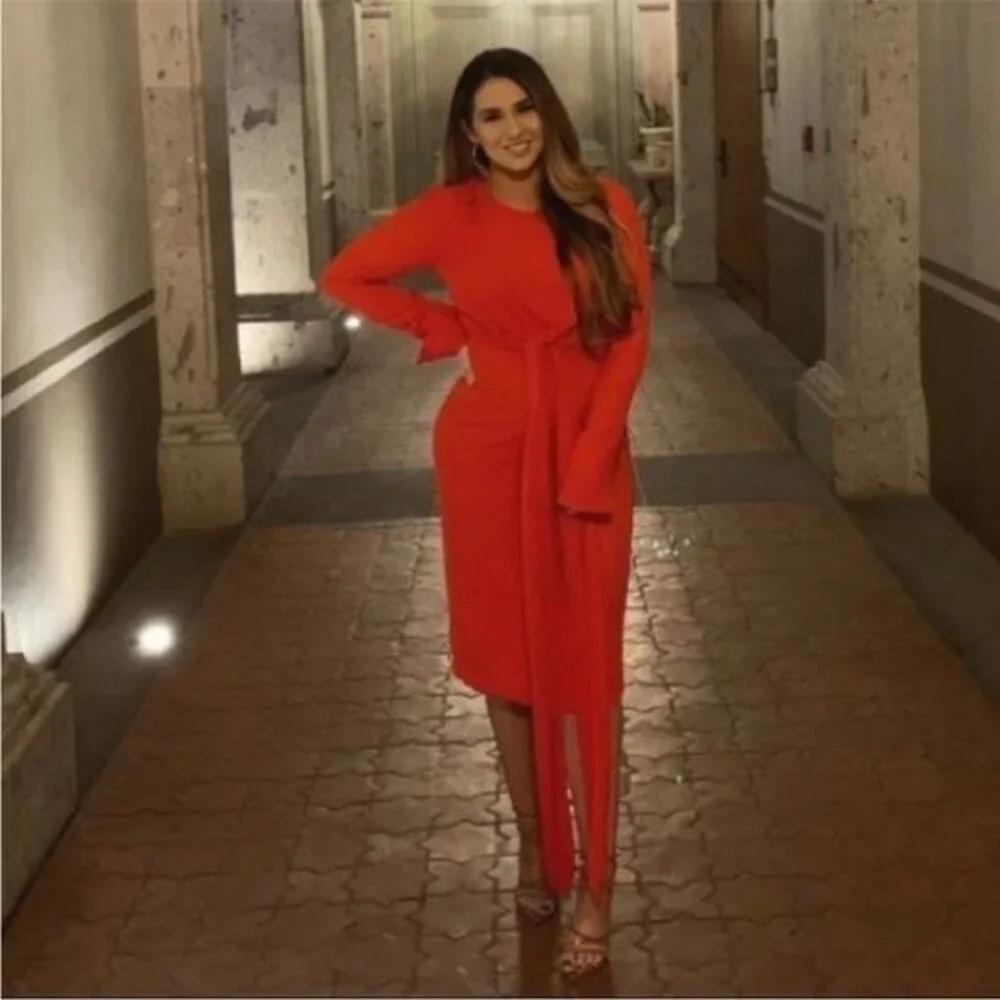 Fame and Partners Peridot Midi Dress long sleeve Size 8